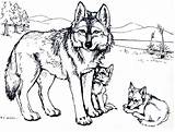 Coloring Pages Wolves Baby Print sketch template