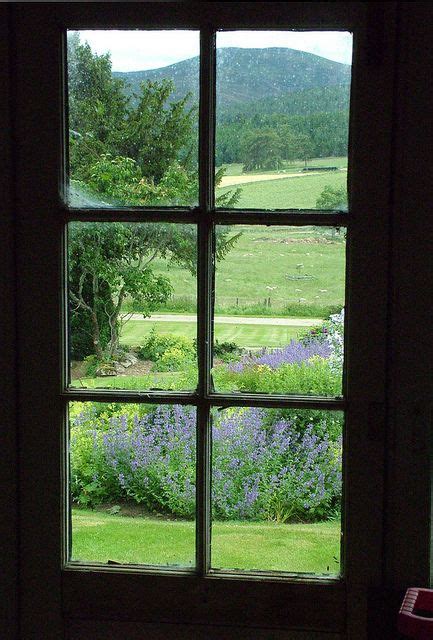 view   summer house window view   window windows