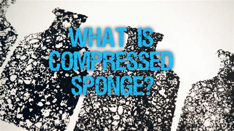 compressed sponge designmatters tv