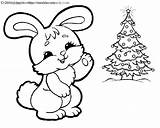 Bunny Coloring Pages Christmas Color Printable Drawing Wheeler Getdrawings Getcolorings Print Miracle Timeless sketch template