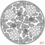 Mandala Mandalas Coloriage Weihnachts Colorir Weihnachten Ausmalbild Imprimer Christbaumkugeln Sapins Dessin Tegninger Boules Weihnachtsmandala Ausmalbilder Colorier Natale Kerstmis Julekugler Kerst sketch template