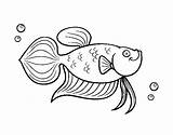 Carpa Pesce Peixinho Rosso Colorare Colorear Dourado Dorada Peces Poisson Dibuixos Disegni Daurat Acolore Peixos Lanterna Coloritou sketch template