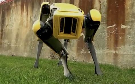 air force deploying creepy robot dogs  enhance security  military base  florida
