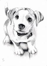 Dog Sketch Drawing Sketches Deviantart Pencil Animal Drawings Dogs Animals Realistic Draw Puppy Cute Coloring Pet Puppies Visit Getdrawings Choose sketch template