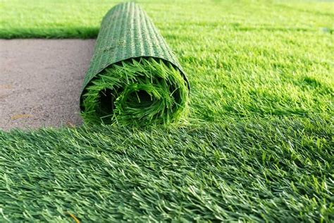 artificial grass pros  cons  buddy put    backyard       home