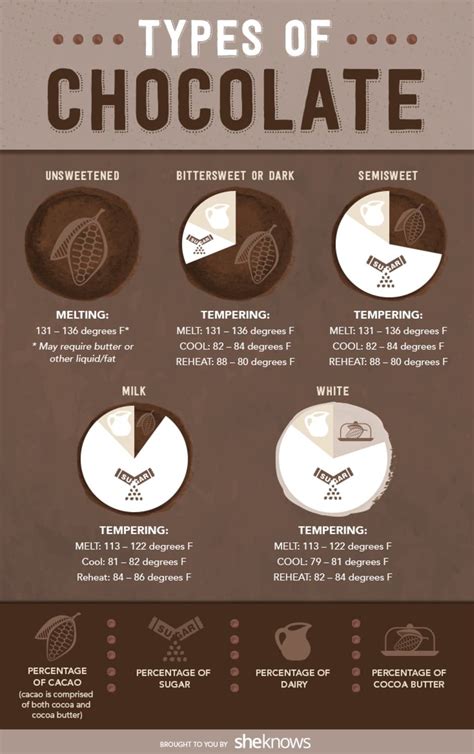 types  chocolate  chocolate lovers infographics