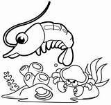 Coloring Shrimp Cute Pages Turtle Sea Cartoon Cool Kids sketch template