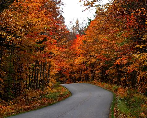 autumn path wallpaper  wallpapers