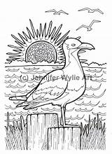 Seagull Drawn sketch template