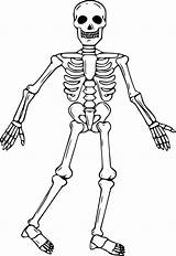 Squelette Coloriages Concernant sketch template