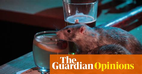 Want To Get Drunk And Play With Rats San Francisco Has
