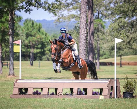 advice    time cross country schooling eventing nation