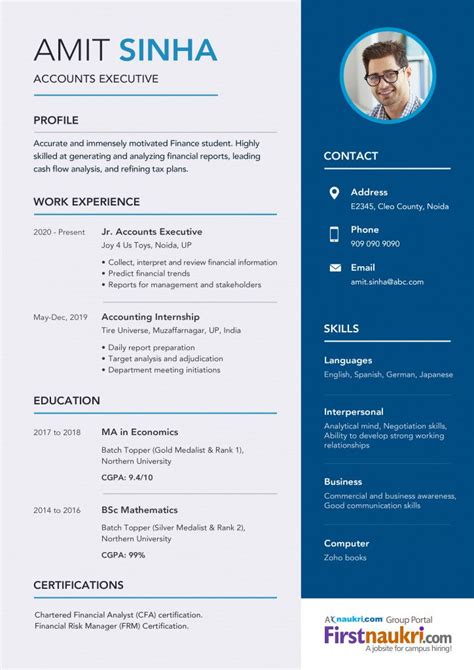 resume format  finance jobs  india resume format resume format