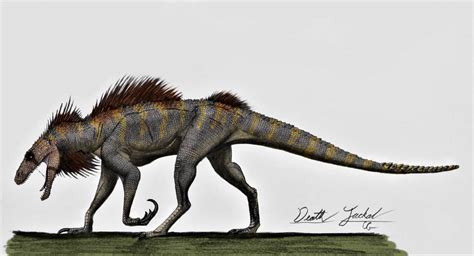 skull island death jackal  acrosaurotaurus  deviantart