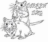 Hamster Kleurplaten Hamsters Kleurplaat Ausmalbilder Dierendag Coloriages Coloriage Imprimer Animaatjes Malvorlagen1001 Kleuren sketch template