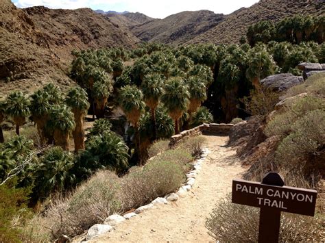 palm canyon trail  stone pools palm springs california brians hikes