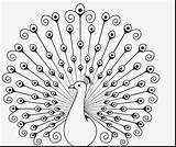 Peacock Outline Drawing Coloring Flower Pages Beautiful Feathers Step Inspirational Feather Kids Getdrawings Mandala Indian Easy Draw Printable Arts Paintingvalley sketch template