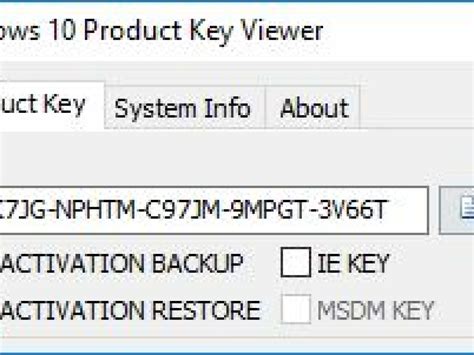 Windows 11 Und 10 Product Key Auslesen So Geht S Vrogue