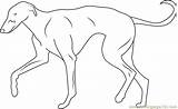 Greyhound Coloring Pages Dog Dogs Coloringpages101 Color Online Kids sketch template