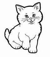 Katzen Ausmalbilder sketch template
