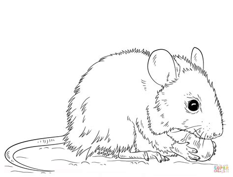 mouse coloring page  printable coloring pages