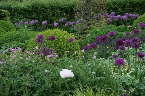 vaste planten border beplantingsplan vec agbc