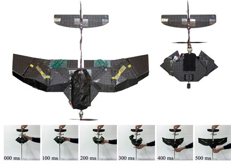 drone  insect inspired folding wings robohub