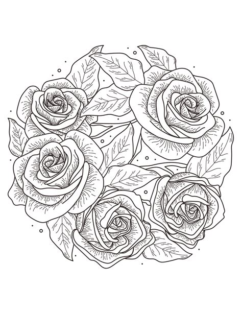 coloring pages  adults roses