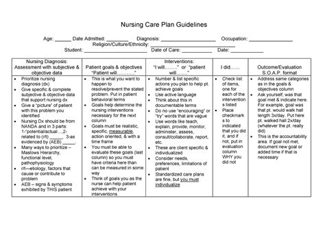 care plan guide nursing process nursing care plan guidelines age