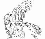 Coloring Pages Griffin Gryphon Cockatiel Sketch Getcolorings Cute Deviantart Kids Template sketch template