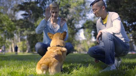 interracial gay couple take a selfie with their cute corgi