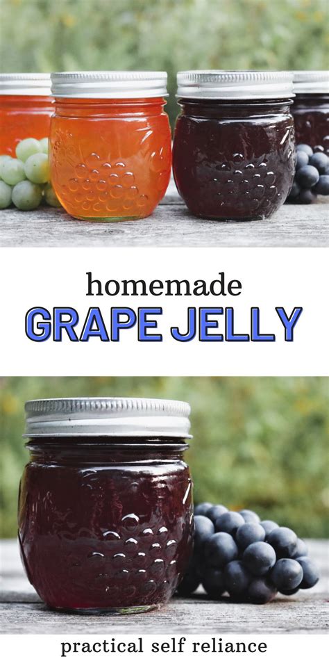 homemade grape jelly recipe homemade grape jelly jelly recipes