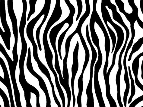zebra pattern vector  vectorifiedcom collection  zebra pattern