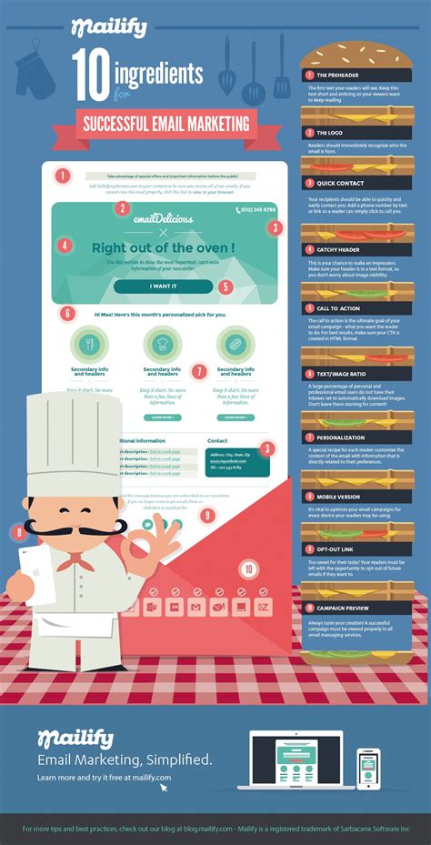 ingredients   successful email marketing campaign infographic