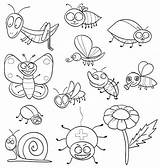 Insectos Insectes Insects Insetos Colorir Desenhos Imprimer Inseto Reptiles Rigolos Anfibios Vectorial Vectorstock Comofazeremcasa sketch template