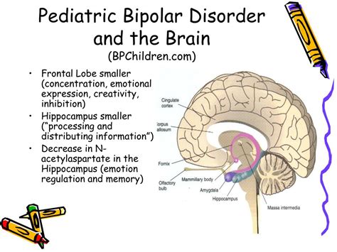 pediatric bipolar disorder neuropsychological  educational issues powerpoint