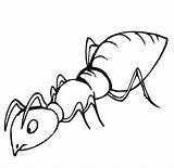 Formiga Formigas Ant sketch template