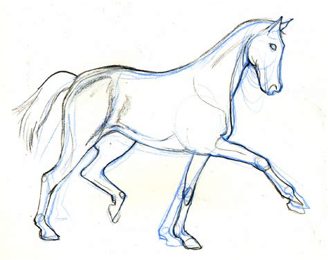 lineandwash  horse drawing   archive