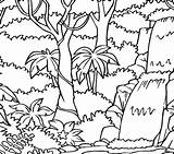 Rainforest Coloring Pages Trees Printable Forest Rain Getcolorings Colouring Print Getdrawings Colorings sketch template