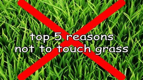 top  reasons   touch grass youtube
