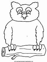 Uilen Kleurplaten Kleurplaat Owls Mewarnai Eulen Buhos Burung Hantu Eule Gufi Coloriages Uil Hiboux Civetta Malvorlagen Buho Bergerak Animierte Animaatjes sketch template