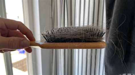 clean  hair brush  filthy