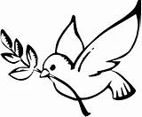 Dove Coloring Peace Printable Pages Nativity Clipart Sign Drawing Line sketch template