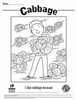 Cabbage Coloring Sheet Foodhero sketch template