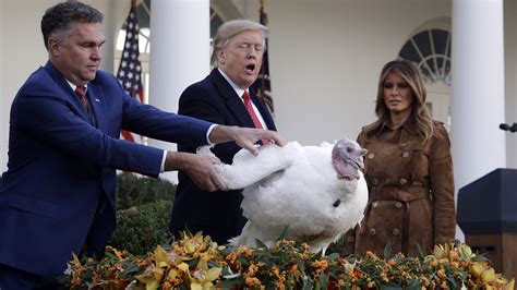 trump tells impeachment jokes  pardoning turkey chicago news wttw
