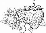 Colorare Berries Frutti Bosco Riscos Prato Kolorowanka Druku Owoce Kolorowanki Truskawki Winogrono Yayimages Parati Vegetables Strawberry Pixers Frutas Peint Adesivo sketch template