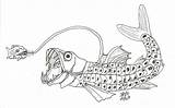 Viperfish Deviantart sketch template