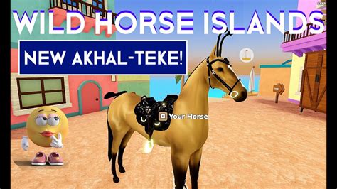 wild horse islands  akhal teke horse update youtube