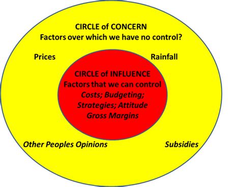 circle  influence diagram