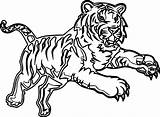 Tiger Coloring Pages Realistic Bengal Drawing Printable Color Getdrawings Getcolorings Choose Board Animals sketch template